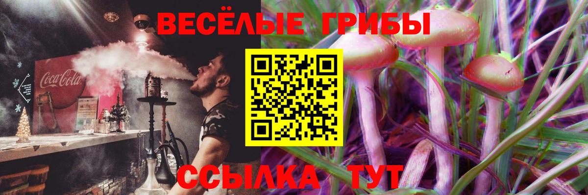 Галлюциногенные грибы Magic Shrooms Красноярск